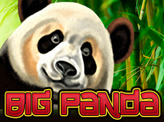 Big Panda slot Amatic