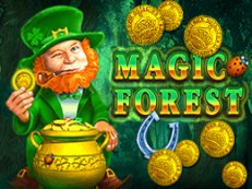 Magic Forest Slot Amatic